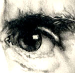 drawings : paintings : photographs